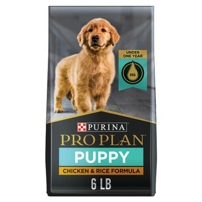 purina one dog food for small dogs