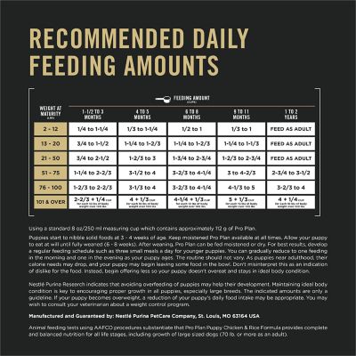 Image showing 8 th Purina Pro Plan Focus Puppy Chicken & Rice Formula Dry Dog Food