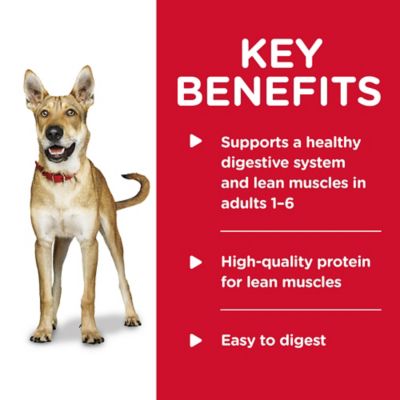 Image showing  Adult Savory Beef/Vegetables Stew Recipe Wet Dog Food, 12.8 oz.