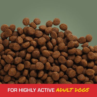 Image showing  Stamina Adult Performance Mini Chunk Chicken and Pork Recipe Dry Dog Food, 40 lb. Bag