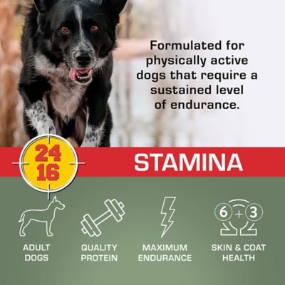 Image showing  Stamina Adult Performance Mini Chunk Chicken and Pork Recipe Dry Dog Food, 40 lb. Bag