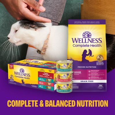 Image showing 8 th Wellness Complete Health Adult Natural Grain-Free Turkey and Salmon Pate Wet Cat Food, 5.5 oz. Can