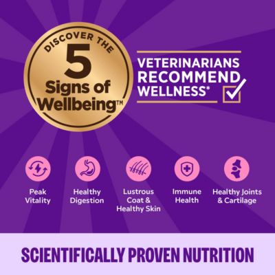 Image showing 5 th Wellness Complete Health Chicken & Herring Dinner Pate Wet Cat Food, 5.5 oz.