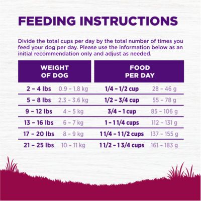 Image showing 7 th Wellness Complete Health Adult Small Breed Turkey and Oatmeal Recipe Dry Dog Food