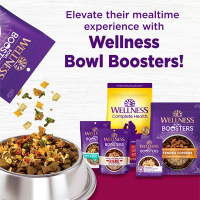 Image showing 8 th Wellness Complete Health Adult Small Breed Turkey and Oatmeal Recipe Dry Dog Food