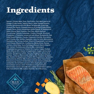 Image showing  Adult Grain-Free High-Protein Real Salmon Recipe Dry Dog Food