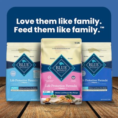 Image showing 8 th Blue Buffalo Life Protection Small Breed Adult Chicken and Brown Rice Recipe Dry Dog Food