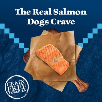 Image showing  Adult Grain-Free High-Protein Real Salmon Recipe Dry Dog Food