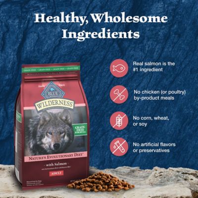 Image showing 5 th Blue Buffalo Wilderness Adult Grain-Free High-Protein Real Salmon Recipe Dry Dog Food