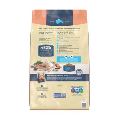 Image showing  Large Breed Puppy Chicken and Brown Rice Recipe Dry Dog Food