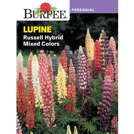 Burpee Per Lupine Russell Hybrid Seed Mix Vegetable Seeds