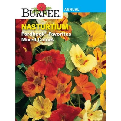 Burpee Nasturtium Fordhook Favorites Mix