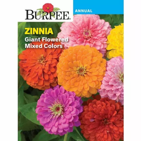 Burpee Giant Flower Zinnia Seed Mix Vegetable Seeds