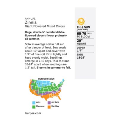 Image showing  Giant Flowered Zinnia Seed Mix