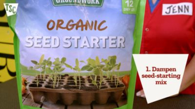 Image showing  Arugula Rocket