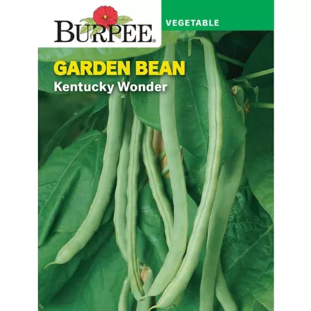 Burpee Kentucky Wonder Bean Pole Seeds Vegetable Seeds