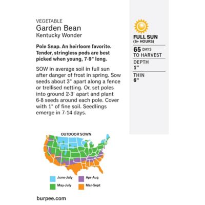 Image showing  Kentucky Wonder Bean Pole Seeds