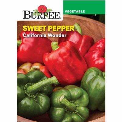 Burpee California Wonder Sweet Pepper Seeds