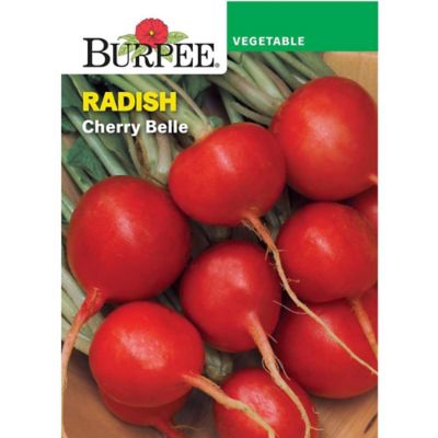 Burpee Cherry Belle Radish Seeds