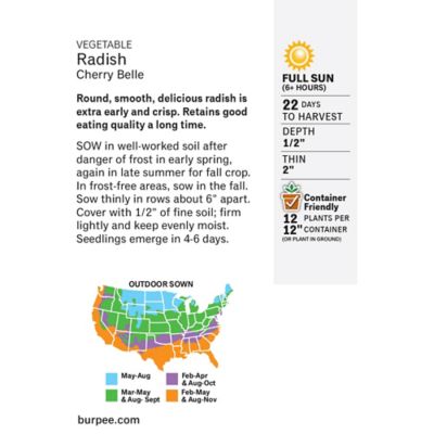 Image showing  Cherry Belle Radish Seeds