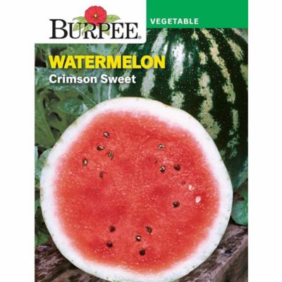 Burpee Watermelon Crimson Sweet