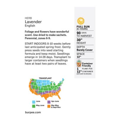 Image showing  Lavender True Herb Seeds
