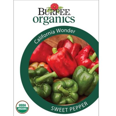 Burpee Org Pepper Sweet California Wonder