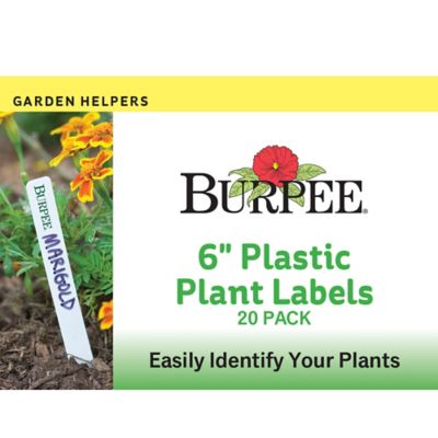 Burpee 6 in. Plastic Plant Labels