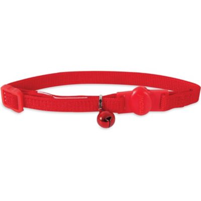 Petmate Adjustable Fashion Cat Collar