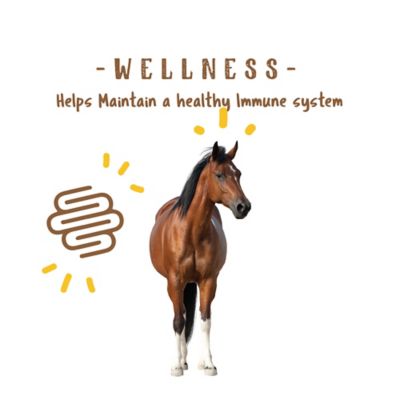 Image showing  Simply Flax for Horses, 8 lb.
