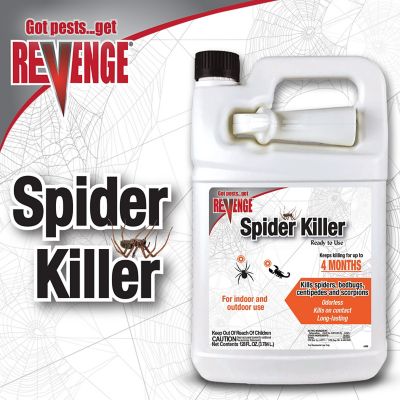 Image showing  128 oz. Ready-to-Use Spider Killer, Spray for Indoors & Outdoors, Long Lasting Formula Kills on Contact