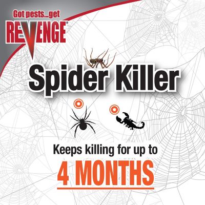 Image showing  128 oz. Ready-to-Use Spider Killer, Spray for Indoors & Outdoors, Long Lasting Formula Kills on Contact
