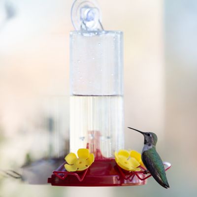 Image showing  8 oz. Window-Mount Hummingbird Feeder