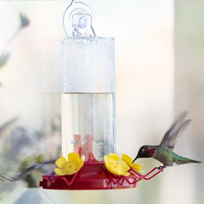 Image showing 7 th Perky-Pet 8 oz. Window-Mount Hummingbird Feeder