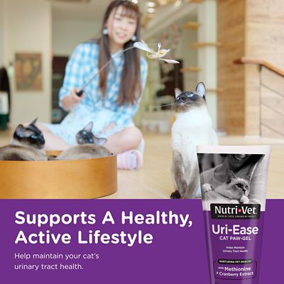 Image showing  Uri-Ease Paw-Gel Salmon Flavor Urinary Treatment for Cats, 0.25 lb.