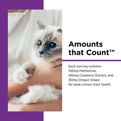 Image showing  Uri-Ease Paw-Gel Salmon Flavor Urinary Treatment for Cats, 0.25 lb.