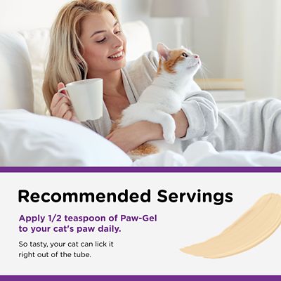 Image showing 6 th Nutri-Vet Uri-Ease Paw-Gel Salmon Flavor Urinary Treatment for Cats, 0.25 lb.