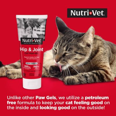 Image showing  Hip and Joint PLUS Paw-Gel for Cats, 3 oz.