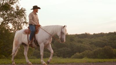 Image showing  CocoSoya Oil