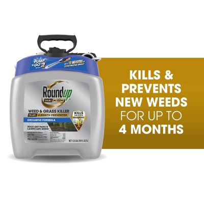 Image showing  1.33 gal. Dual Action Weed & Grass Killer Plus 4 Month Preventer with Pump 'N Go 2 Sprayer