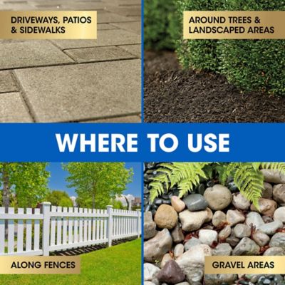 Image showing  1.33 gal. Dual Action Weed & Grass Killer Plus 4 Month Preventer with Pump 'N Go 2 Sprayer