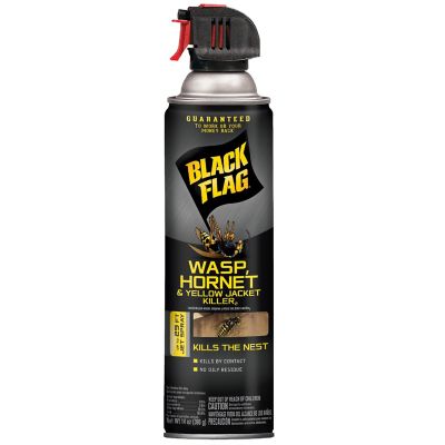 Black Flag 14 oz. Wasp, Hornet and Yellow Jacket Killer Spray