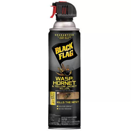 Black Flag 14 oz Anti-wasp hornet and yellow wasp spray Insecticides