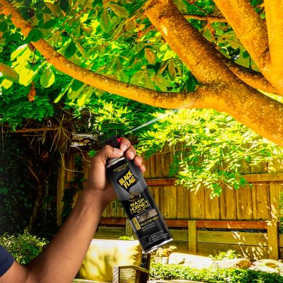 Image showing  14 oz. Wasp, Hornet and Yellow Jacket Killer Spray