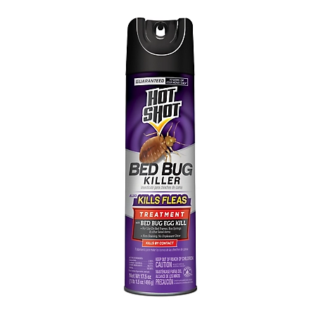 Black Flag 17.5 oz. Bed Bug Killer Spray