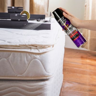 Image showing  17.5 oz. Bed Bug Killer Spray