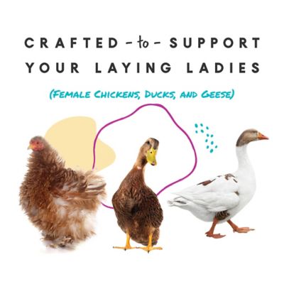 Image showing  Omega Eggmaker Laying Hen Supplement, 5 lb.