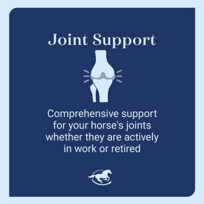 Image showing  Devils Claw Plus Granular Horse Supplement, 2 lb.