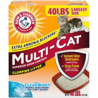 best arm & hammer cat litter