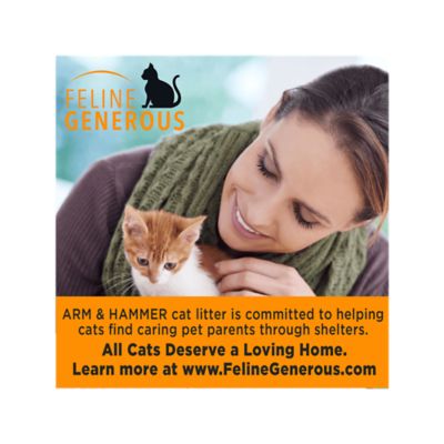 Image showing  Multi-Cat Scented Clean Burst Clumping Clay Cat Litter